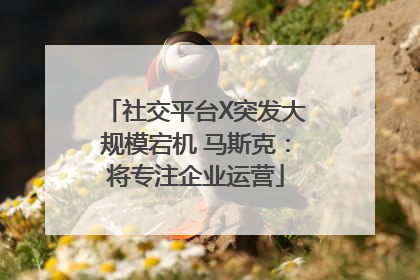 社交平台X突发大规模宕机 马斯克：将专注企业运营
