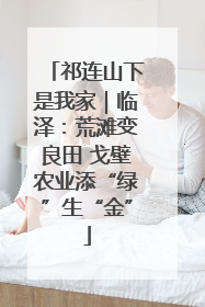 祁连山下是我家｜临泽：荒滩变良田 戈壁农业添“绿”生“金”