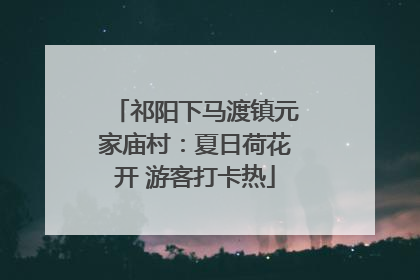 祁阳下马渡镇元家庙村：夏日荷花开 游客打卡热