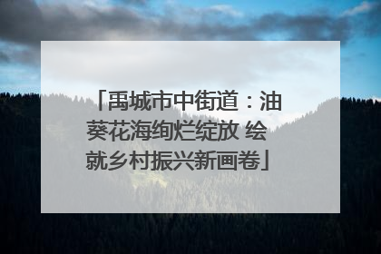 禹城市中街道：油葵花海绚烂绽放 绘就乡村振兴新画卷