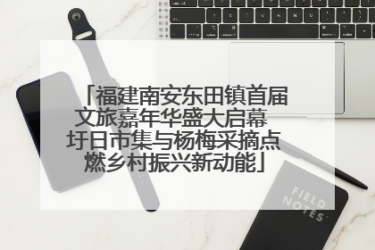 福建南安东田镇首届文旅嘉年华盛大启幕 圩日市集与杨梅采摘点燃乡村振兴新动能