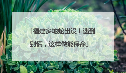 福建多地蛇出没！遇到别慌，这样做能保命