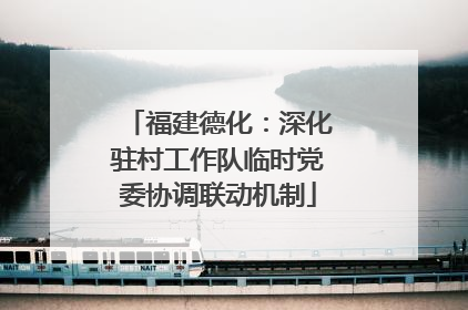 福建德化：深化驻村工作队临时党委协调联动机制