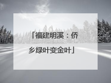 福建明溪：侨乡绿叶变金叶