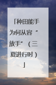 种田能手为何从容“放手”（三夏进行时）