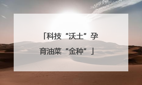 科技“沃土”孕育油菜“金种”