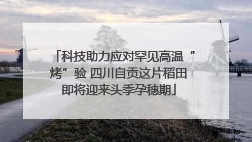 科技助力应对罕见高温“烤”验 四川自贡这片稻田即将迎来头季孕穗期
