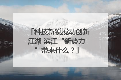 科技新锐搅动创新江湖 滨江“新势力”带来什么？
