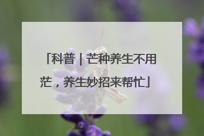 科普｜芒种养生不用茫，养生妙招来帮忙