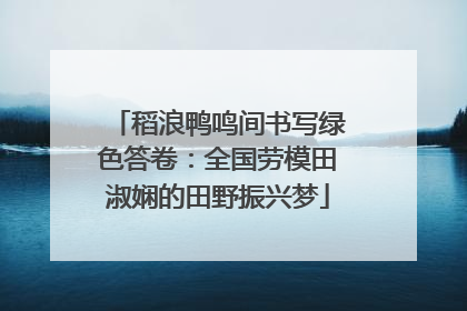 稻浪鸭鸣间书写绿色答卷：全国劳模田淑娴的田野振兴梦