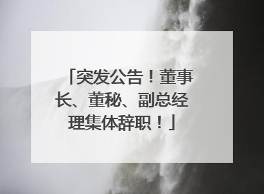 突发公告！董事长、董秘、副总经理集体辞职！