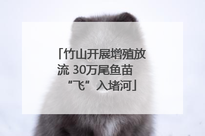 竹山开展增殖放流 30万尾鱼苗“飞”入堵河