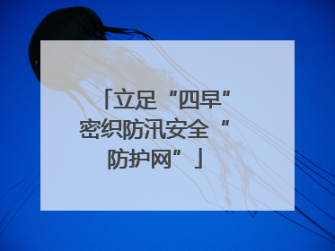 立足“四早”密织防汛安全“防护网”