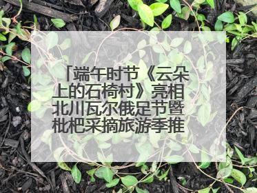 端午时节《云朵上的石椅村》亮相北川瓦尔俄足节暨枇杷采摘旅游季推介活动