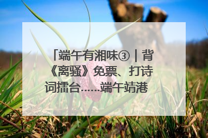 端午有湘味③｜背《离骚》免票、打诗词擂台……端午靖港古镇趣味多