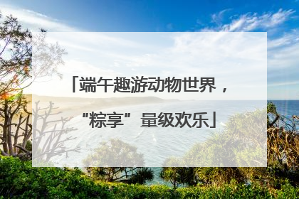 端午趣游动物世界，“粽享”量级欢乐