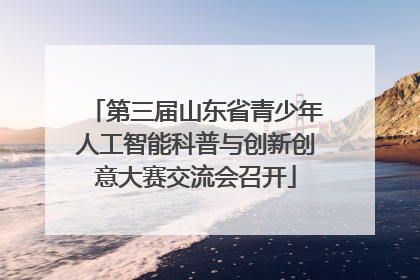第三届山东省青少年人工智能科普与创新创意大赛交流会召开