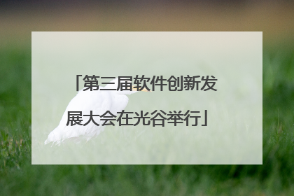 第三届软件创新发展大会在光谷举行