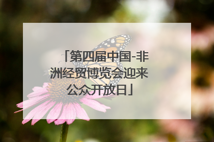 第四届中国-非洲经贸博览会迎来公众开放日