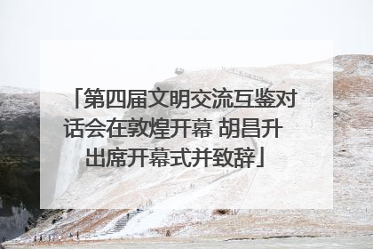 第四届文明交流互鉴对话会在敦煌开幕 胡昌升出席开幕式并致辞