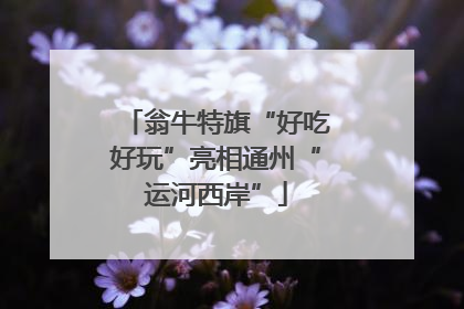 翁牛特旗“好吃好玩”亮相通州“运河西岸”