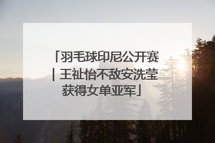 羽毛球印尼公开赛｜王祉怡不敌安洗莹 获得女单亚军