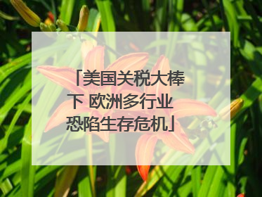 美国关税大棒下 欧洲多行业恐陷生存危机