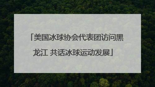 美国冰球协会代表团访问黑龙江 共话冰球运动发展