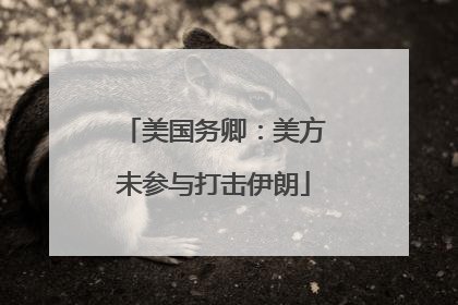 美国务卿：美方未参与打击伊朗