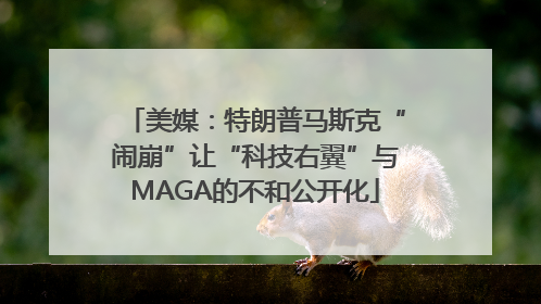美媒：特朗普马斯克“闹崩”让“科技右翼”与MAGA的不和公开化