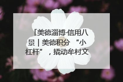 美德淄博·信用八景｜美德积分 “小杠杆”，撬动牟村文明 “大能量”