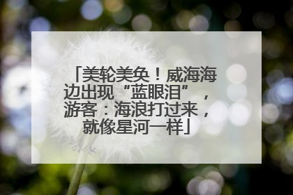 美轮美奂！威海海边出现“蓝眼泪”，游客：海浪打过来，就像星河一样