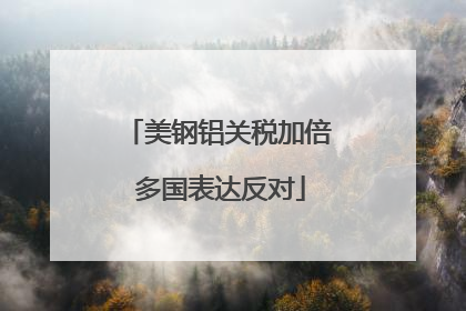 美钢铝关税加倍 多国表达反对