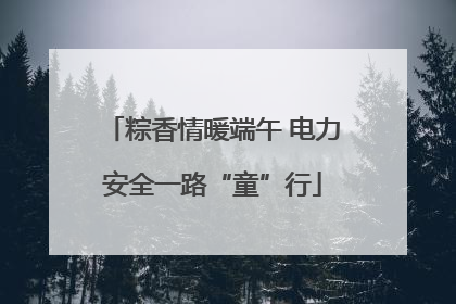 粽香情暖端午 电力安全一路“童”行