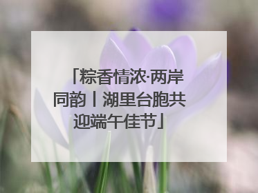 粽香情浓·两岸同韵丨湖里台胞共迎端午佳节