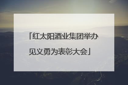 红太阳酒业集团举办见义勇为表彰大会