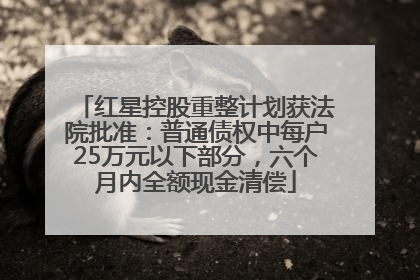 红星控股重整计划获法院批准：普通债权中每户25万元以下部分，六个月内全额现金清偿
