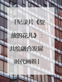 纪录片《绽放的花儿》：共绘融合发展时代画卷