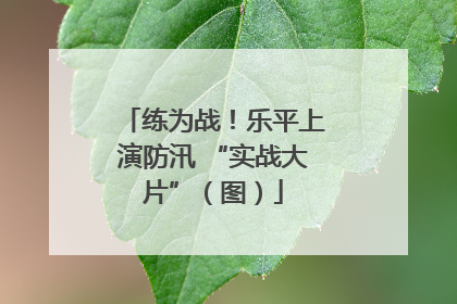 练为战！乐平上演防汛 “实战大片”（图）