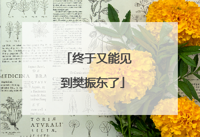 终于又能见到樊振东了