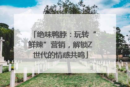 绝味鸭脖：玩转“鲜辣”营销，解锁Z世代的情感共鸣