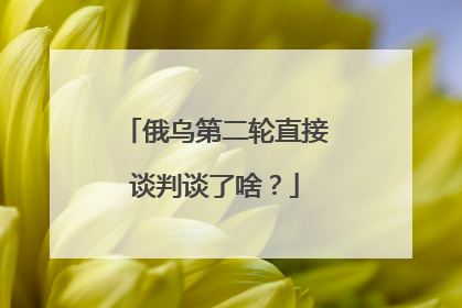 俄乌第二轮直接谈判谈了啥？