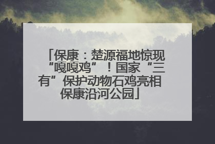 保康：楚源福地惊现“嘎嘎鸡”！国家“三有”保护动物石鸡亮相保康沿河公园