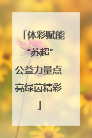 体彩赋能“苏超” 公益力量点亮绿茵精彩