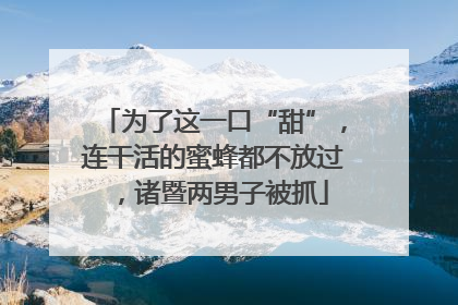 为了这一口“甜”，连干活的蜜蜂都不放过，诸暨两男子被抓