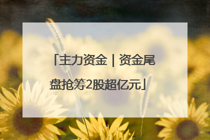 主力资金｜资金尾盘抢筹2股超亿元