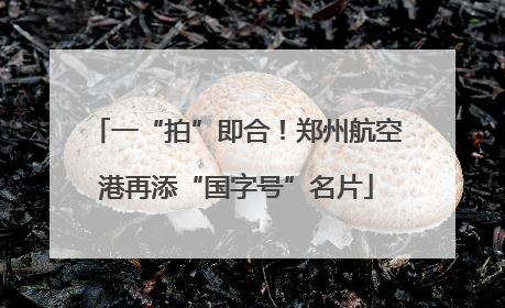 一“拍”即合！郑州航空港再添“国字号”名片