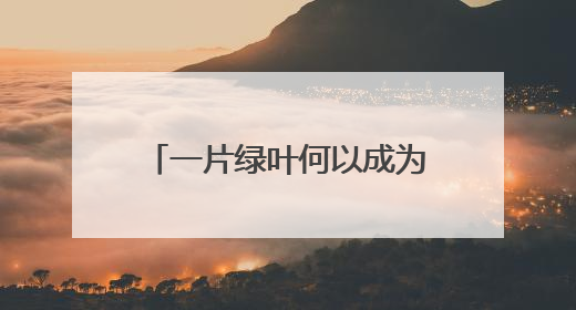 一片绿叶何以成为乡村振兴“金叶”