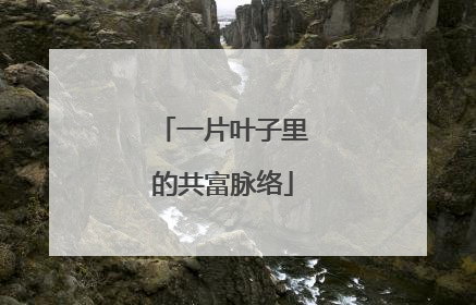 一片叶子里的共富脉络