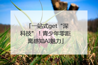 一站式get“深科技”！青少年零距离感知AI魅力